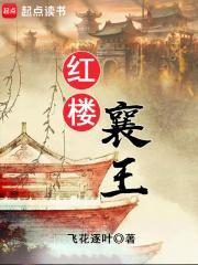 红楼襄王 王熙凤