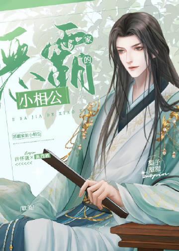 小夫郎的首辅