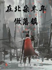 在北宋末年做藩镇免费阅读