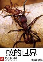 蚂蚁的世界之最
