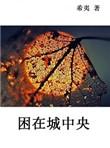 困在城中央txt百度