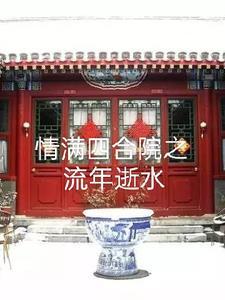 情满四合院46集免费观看