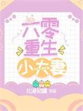 六零重生小夫妻北港初晴格格党