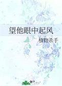 望他眼中起风好看吗