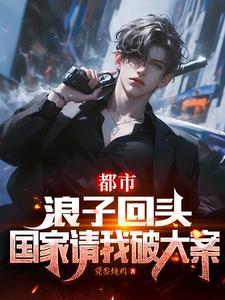 都市浪子回头国家请我破大案有声