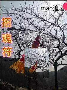 丧尸幻境