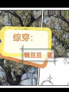 综穿是什么意思