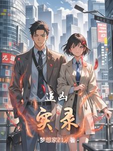 追凶实录2