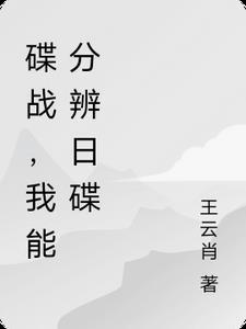 碟战连续剧