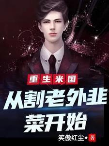 美国当议员有好处吗