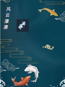 风云mv