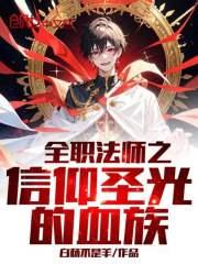 全职法师圣阶法师