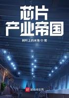 芯片产业帝国txt校对版