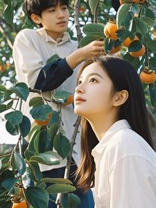 年年柿子红电视连续剧剧情介绍