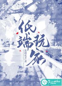 低端玩家全本TXT