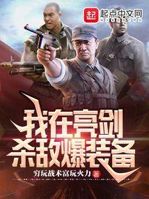 亮剑我杀敌能爆航母章节列表