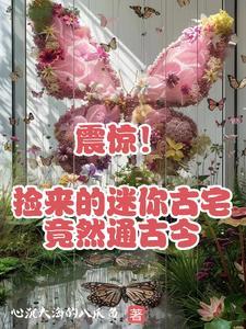 震惊捡来的迷你古宅竟然通古今