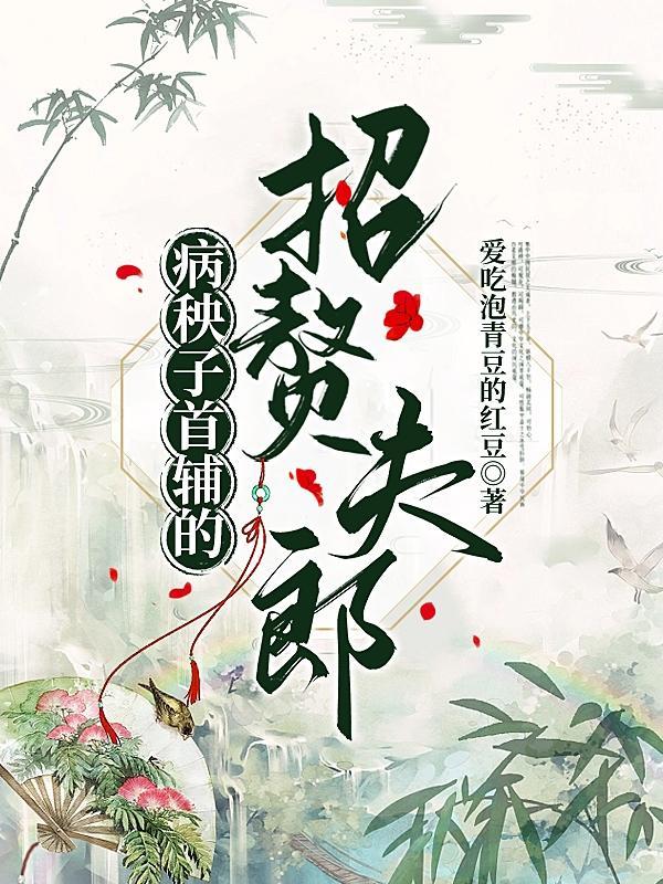 病秧子首辅的招赘夫郎讲的什么