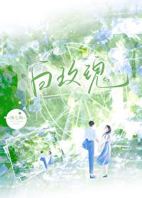 白玫瑰品种