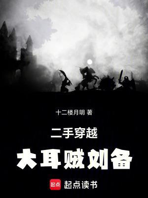 二手穿越大耳贼刘备无弹窗 全本