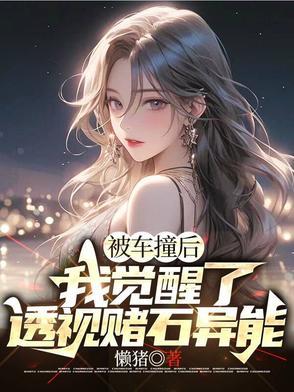 我觉醒了透视赌石异能小