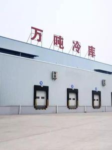 四合院之开局娶个售货员简介