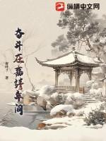 奋斗在嘉靖年间TXT百度