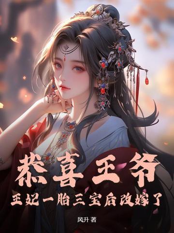 恭喜王爷王妃怀的是双生子