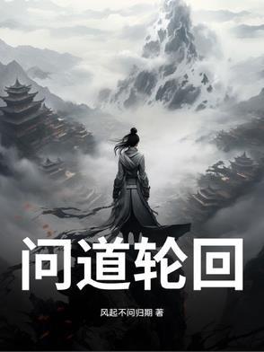 问道轮回录宁婉清