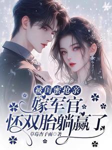 嫁军官怀双胎躺赢了 歌不尽