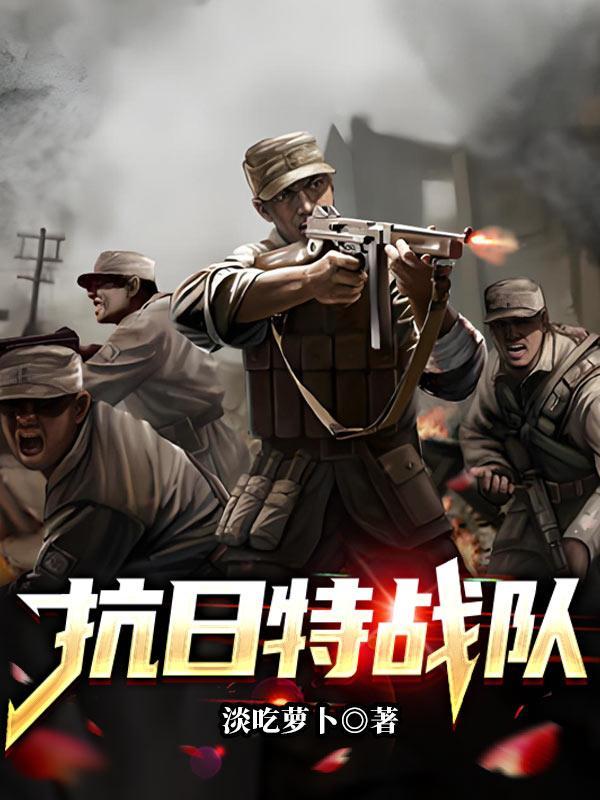 抗日特战队连续剧