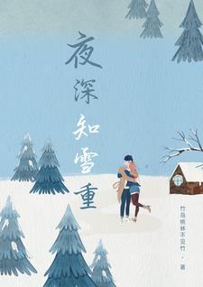 夜深知雪重全集观看