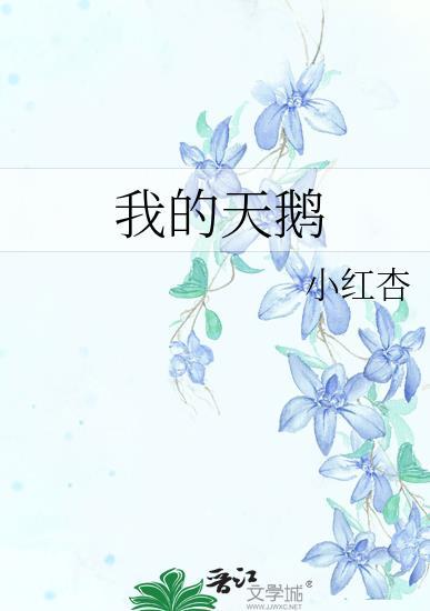 我的天鹅主要讲的是什么故事