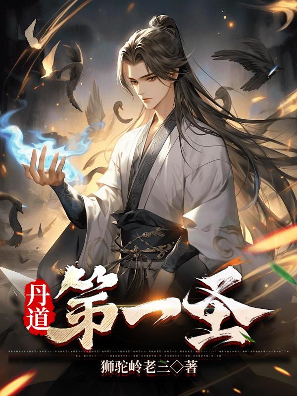 丹道第一圣紫韵
