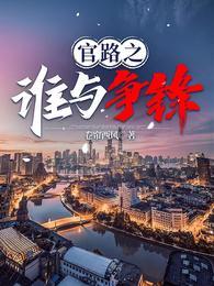 官路之谁与争锋更新太慢