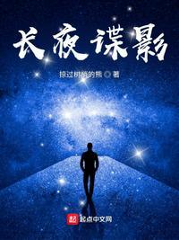 长夜谍影免费阅读无弹窗