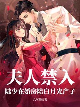 夫人禁入陆少在婚房陪白月光产子