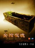 金棺噬魂全集免费观看