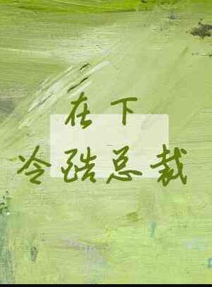 在下冷酷总裁木三观讲的什么