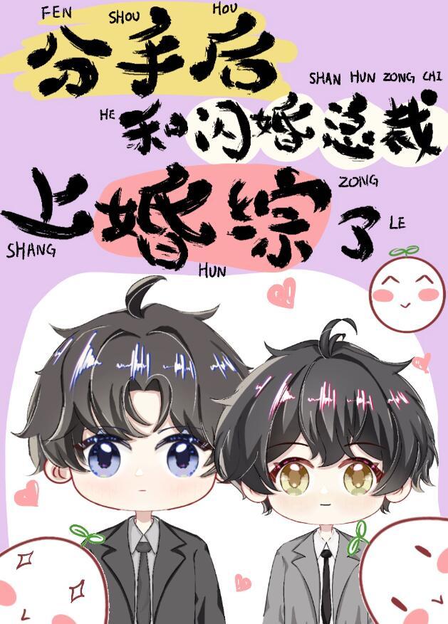 前任分手后闪婚