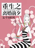 重生之离婚前夫