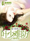 豪门隐婚之叶少难防 聚合中文网